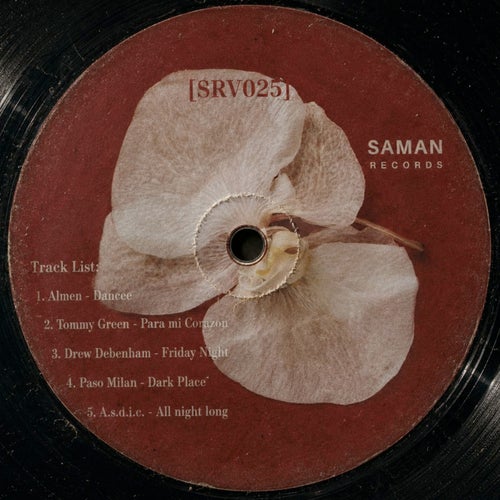[Srv025]