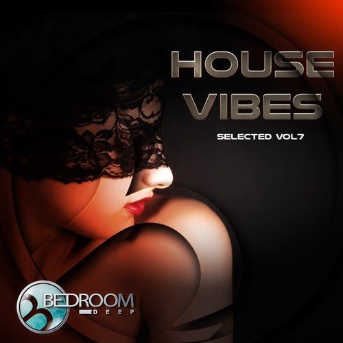 House Vibes Vol 7