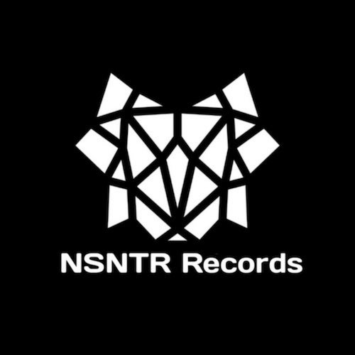 NSNTR Records