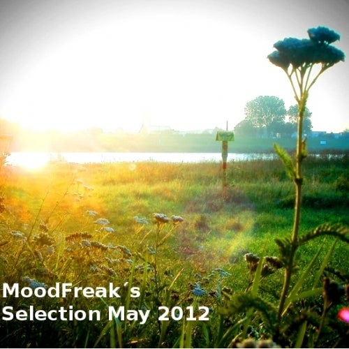 MoodFreak´s Glimps of Summer 2012