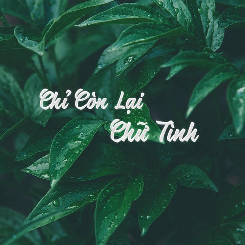 Chỉ Còn Lại Chữ Tình