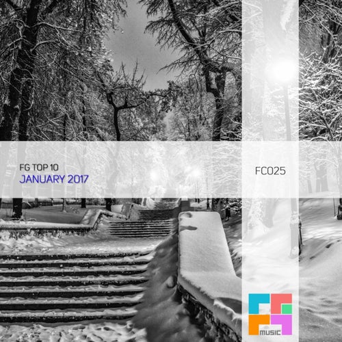 FG Top 10: January 2017