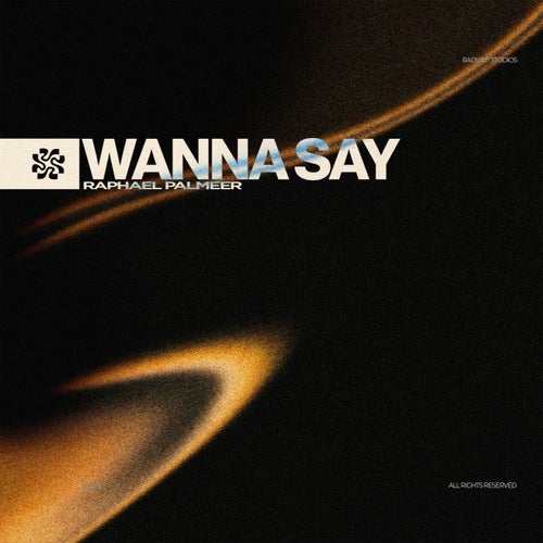 Wanna Say
