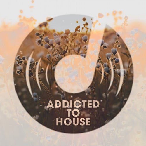 Addicted To House, Various Artists