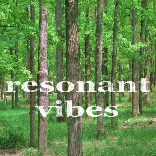 Resonant Vibes (Warm House Music)