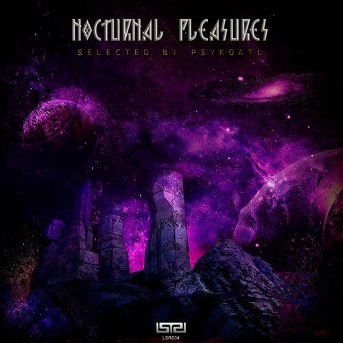 Nocturnal Pleasures
