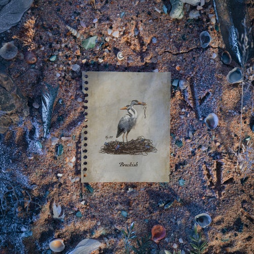 Brackish