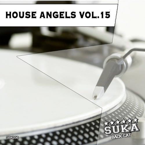 House Angels, Vol. 15