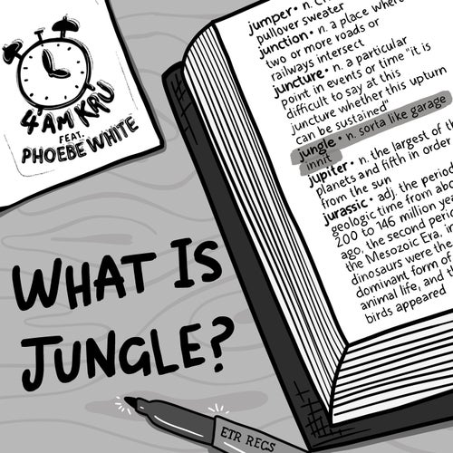 What Is Jungle (Extended Mix)