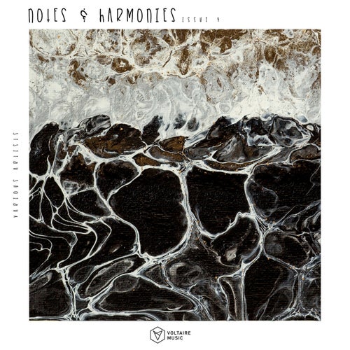Notes & Harmonies Vol. 4