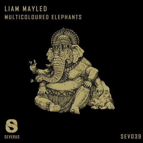 Multicoloured Elephants