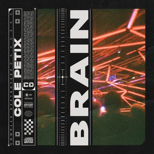 Brain