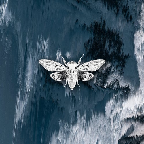 Distorted Reality Vol. IV