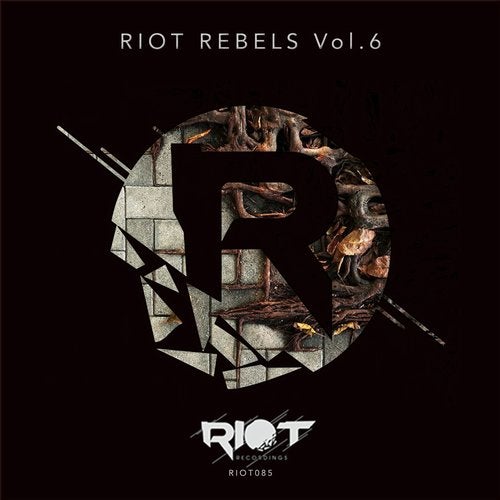 Cover art for Riot Rebels, Vol. 6