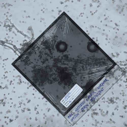 Cover art for Laboratorio