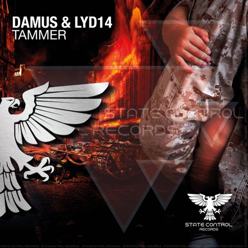Cover art for Tammer