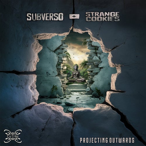  Subverso & Strange Cookies - Projecting Outwards (2024) 