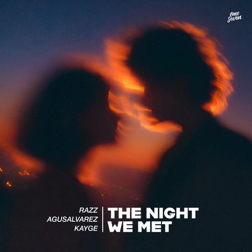 The Night We Met