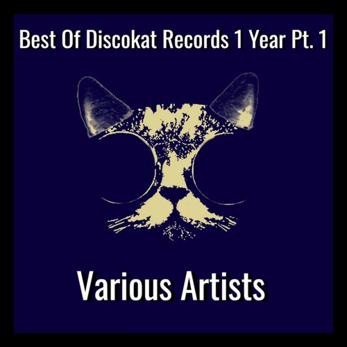 Best Of Discokat Records 1 Year Pt. 1