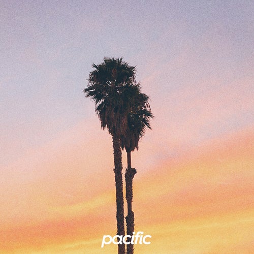 Summer Nights
