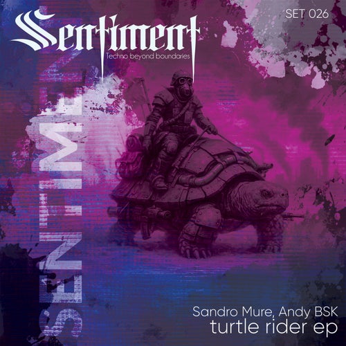 turtle rider