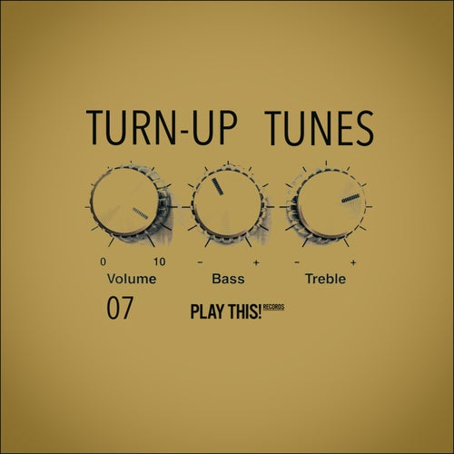 Turn-Up Tunes, Vol.07 [PTCOMP1667] - Play This! Records (House,Funky House,Tech House) Album Cover