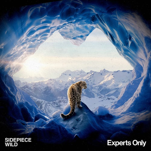 Wild - Extended Mix