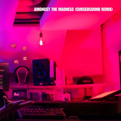 Amongst the Madness - Cursedsound Remix