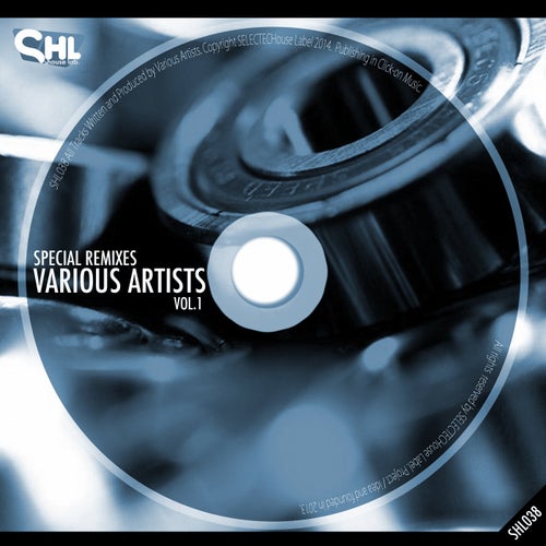 Special Remixes / Various Artists Vol.1