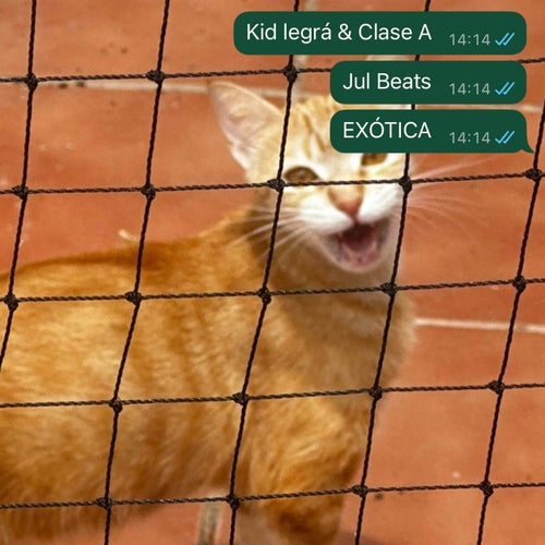 EXÓTICA