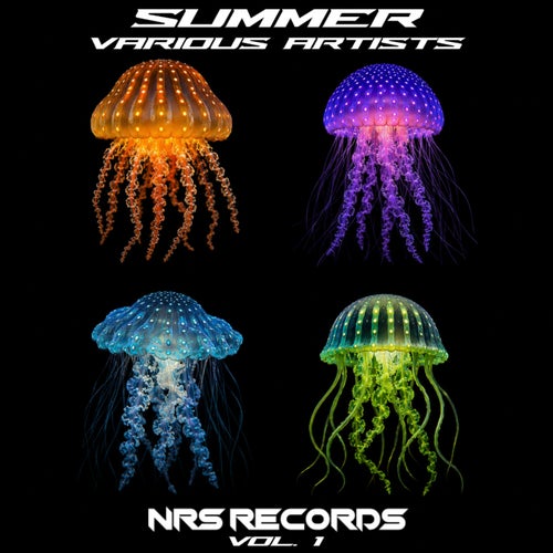Summer Various Artists - Vol.1