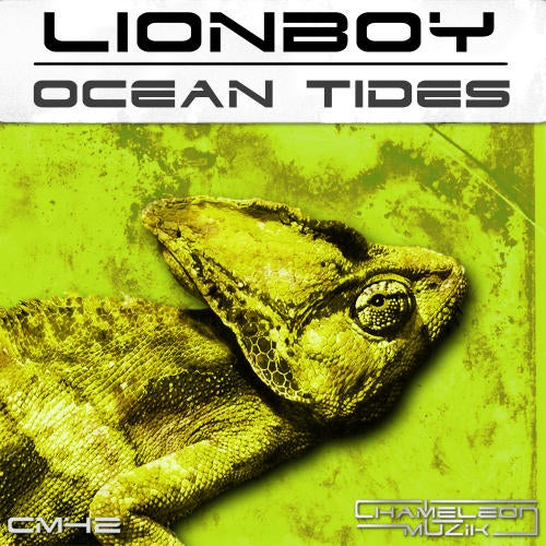 Ocean Tides
