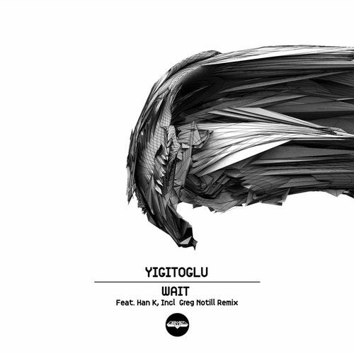 Cover art for Wait