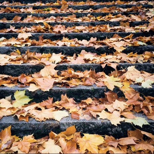 Autumn in Kreuzberg Chart