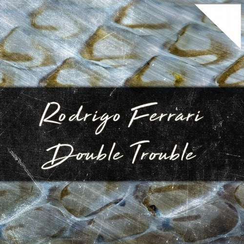 Cover art for Double Trouble
