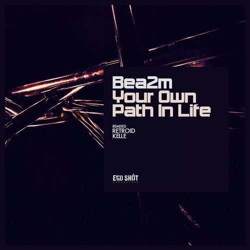 Cover art for Your Own Path In Life