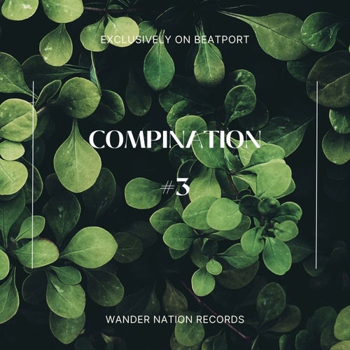 Compination #3 [WNR038]