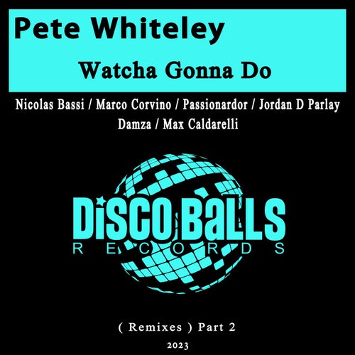 Watcha Gonna Do (Remixes), Pt. 2