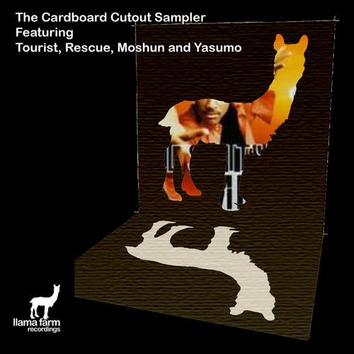 The Cardboard Cutout Sampler