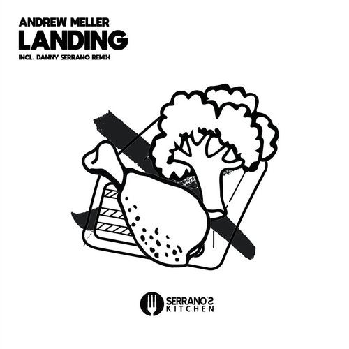 Cover art for Landing