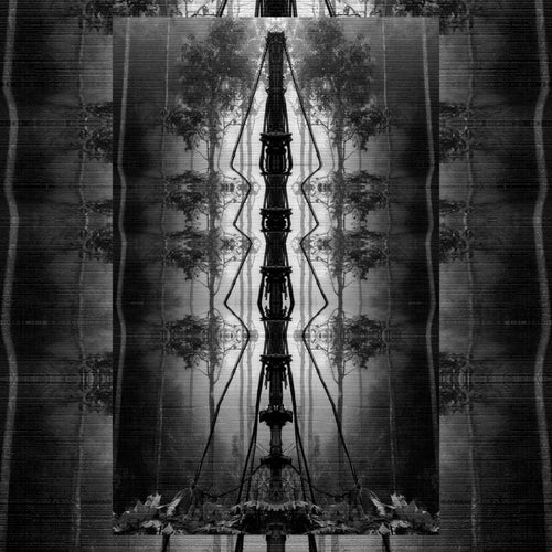 Perception of Reality - Vol. 1