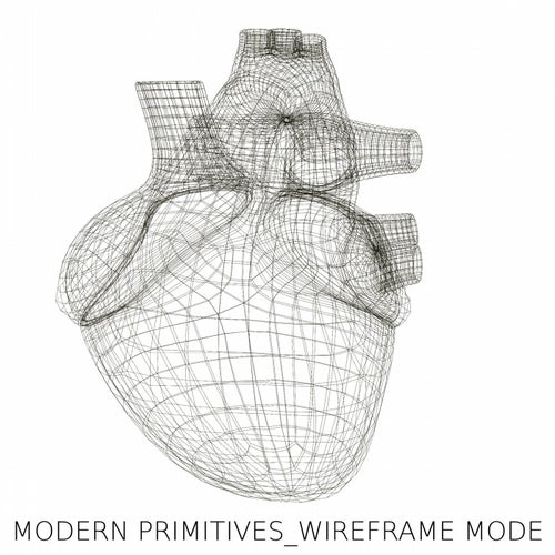 Wireframe Mode