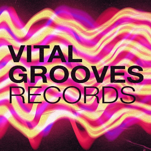 Vital Grooves Records