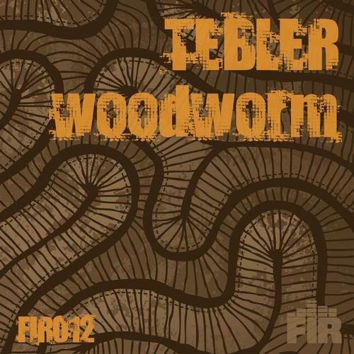 Woodworm