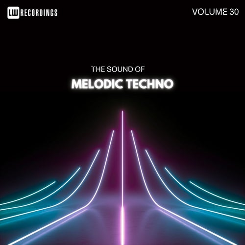 The Sound Of Melodic Techno, Vol. 30