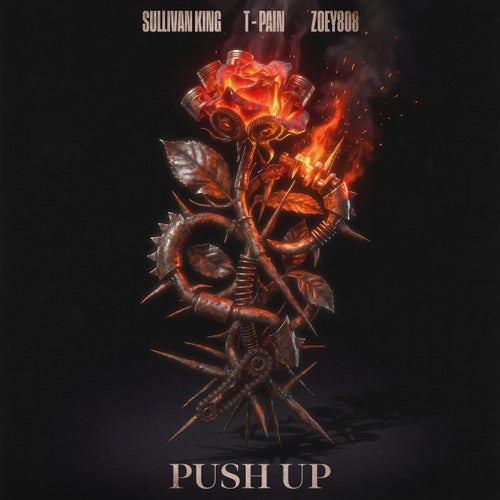 Push Up