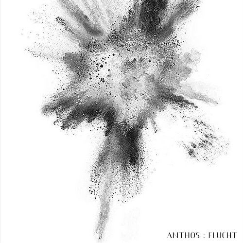 Cover art for Flucht