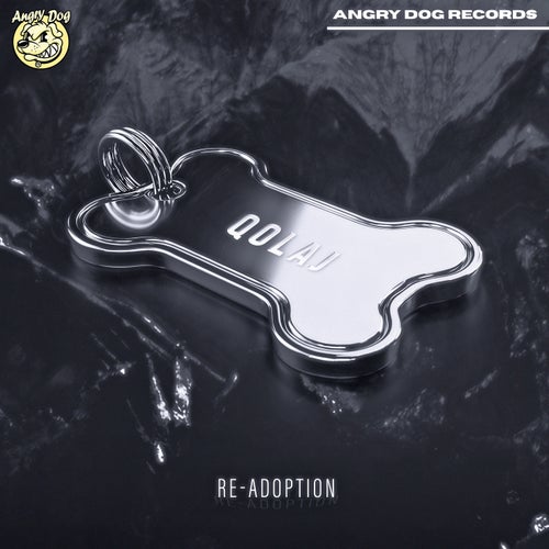 Re-Adoption