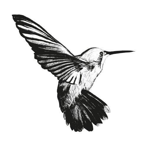 Hummingbird by BPZ