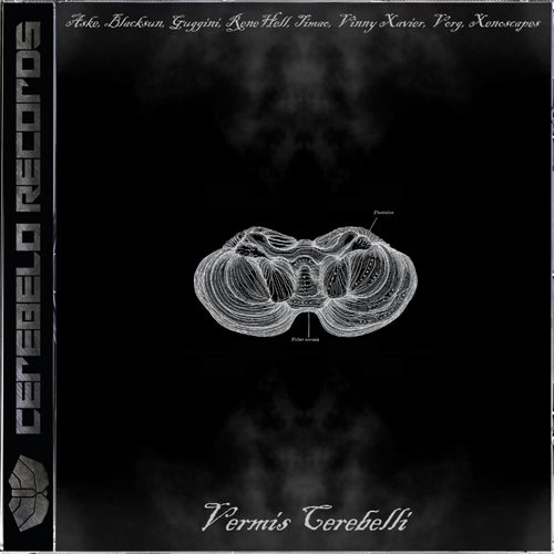 Vermis Cerebelli